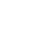 icon support team min